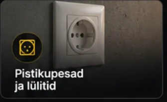 Pistikupesad ja lülitid